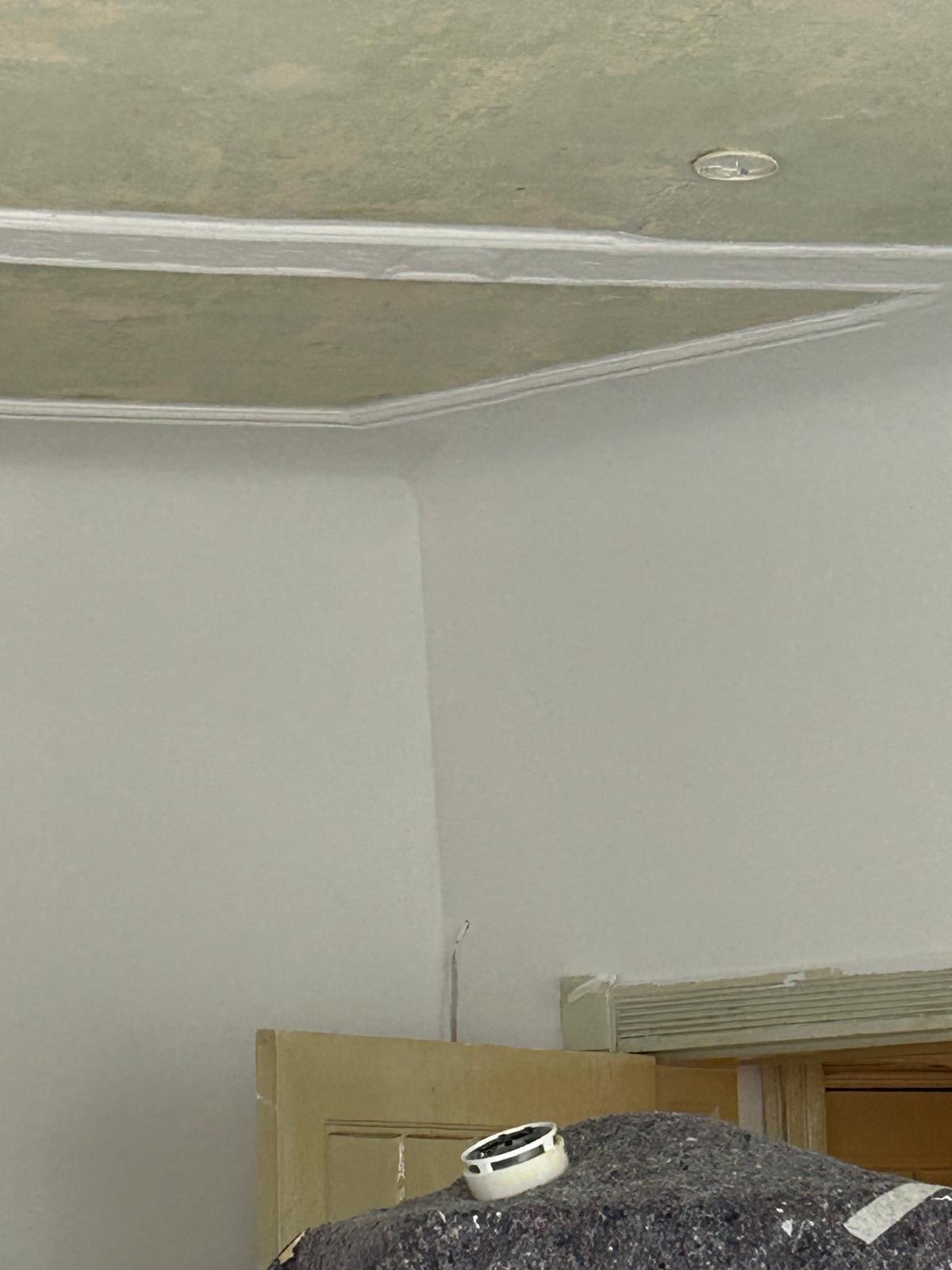 Frisch gestrichene weiße Wandfläche mit sauberer Ecke und überarbeiteter Stuckdecke